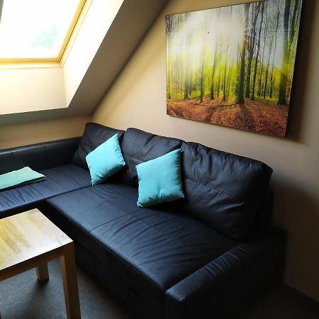 Appartamento Podkrovní apartmán v přírodě, vhodný k relaxaci i na služební cesty Cerna u Bohdance Esterno foto