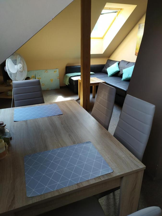 Appartamento Podkrovní apartmán v přírodě, vhodný k relaxaci i na služební cesty Cerna u Bohdance Esterno foto