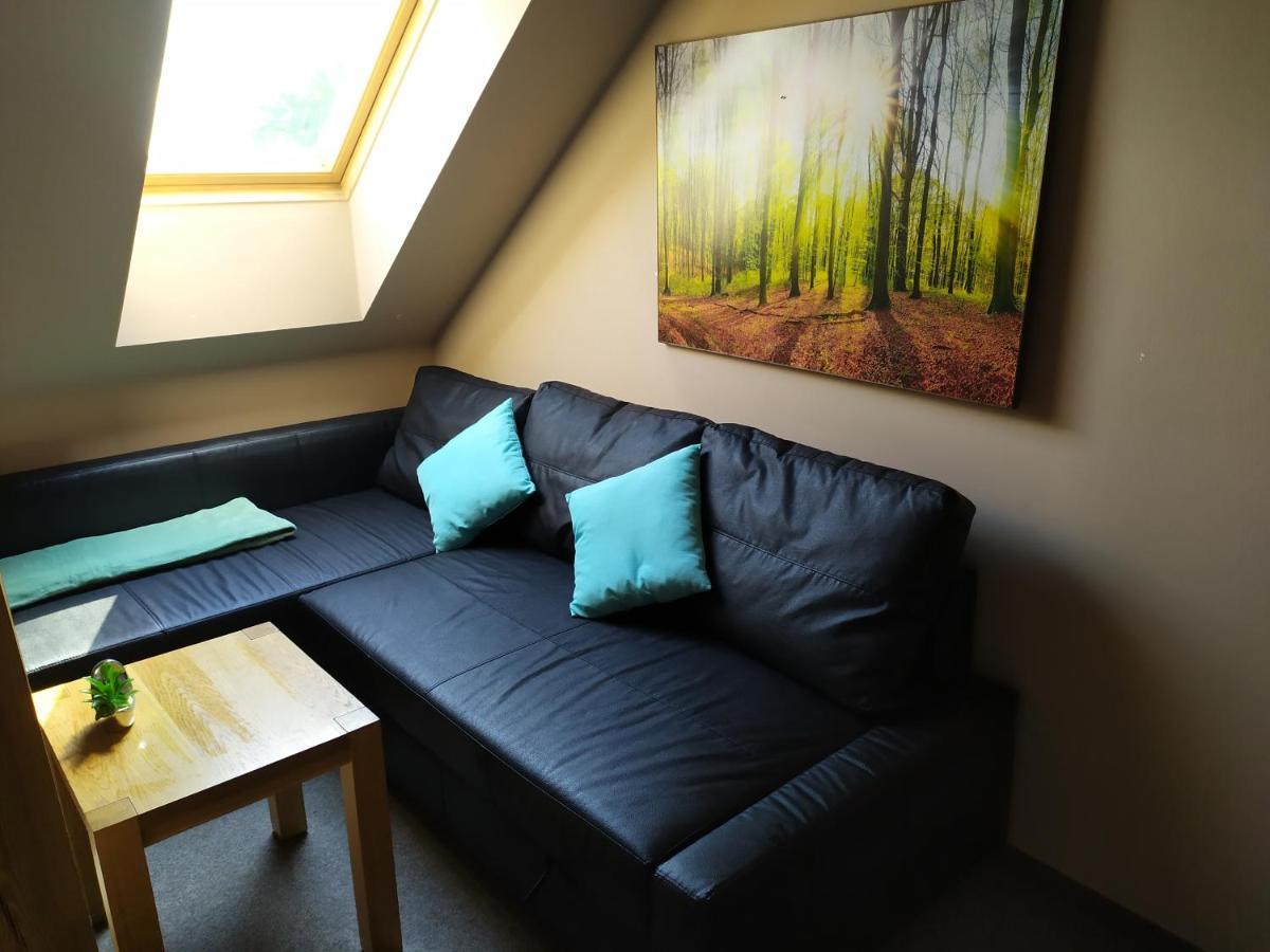 Appartamento Podkrovní apartmán v přírodě, vhodný k relaxaci i na služební cesty Cerna u Bohdance Esterno foto