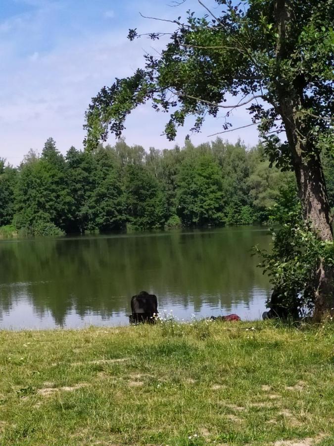 Appartamento Podkrovní apartmán v přírodě, vhodný k relaxaci i na služební cesty Cerna u Bohdance Esterno foto