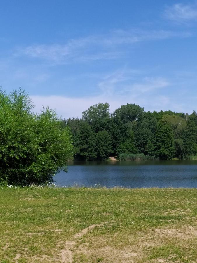 Appartamento Podkrovní apartmán v přírodě, vhodný k relaxaci i na služební cesty Cerna u Bohdance Esterno foto