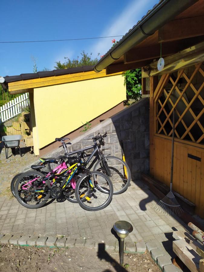 Appartamento Podkrovní apartmán v přírodě, vhodný k relaxaci i na služební cesty Cerna u Bohdance Esterno foto