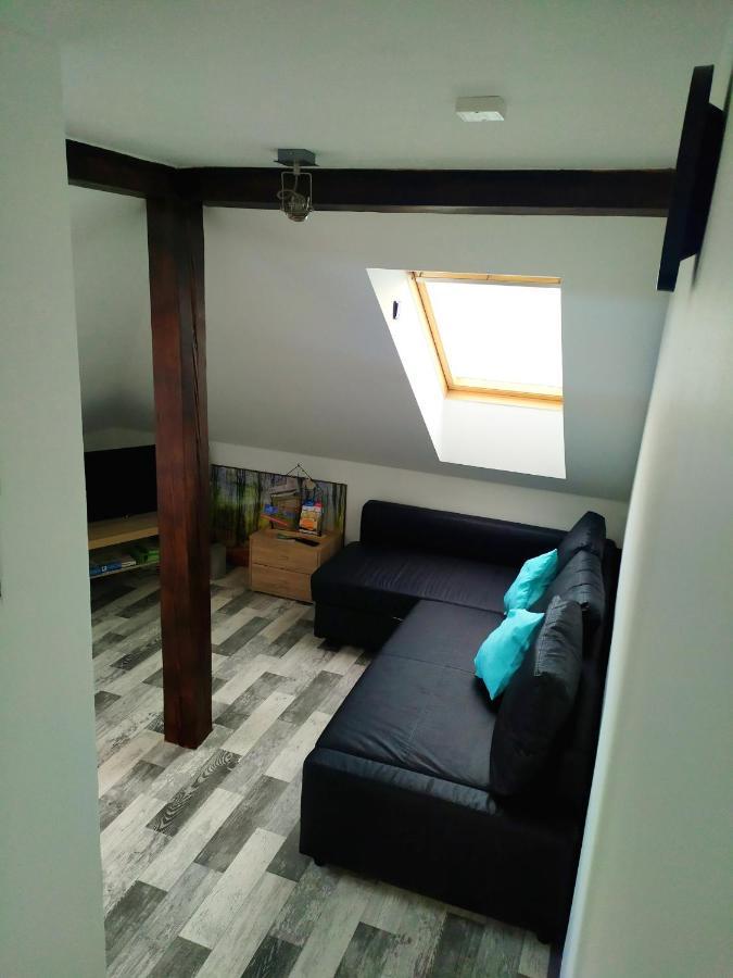 Appartamento Podkrovní apartmán v přírodě, vhodný k relaxaci i na služební cesty Cerna u Bohdance Esterno foto