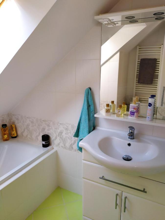 Appartamento Podkrovní apartmán v přírodě, vhodný k relaxaci i na služební cesty Cerna u Bohdance Esterno foto