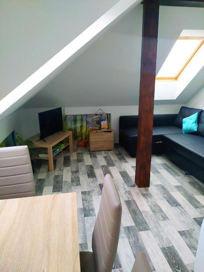 Appartamento Podkrovní apartmán v přírodě, vhodný k relaxaci i na služební cesty Cerna u Bohdance Esterno foto