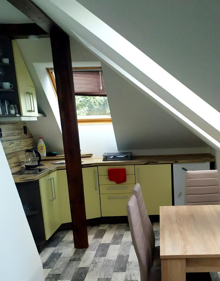 Appartamento Podkrovní apartmán v přírodě, vhodný k relaxaci i na služební cesty Cerna u Bohdance Esterno foto
